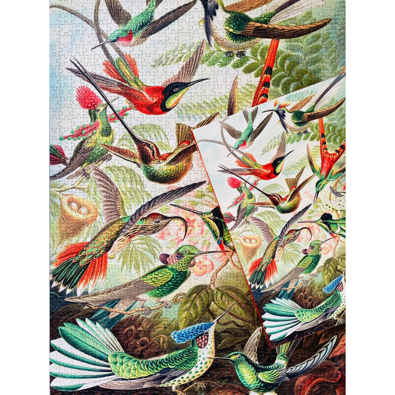 Hummingbirds 1000 piece Vintage jigsaw puzzle-Puslespill-Penny Puzzle-Kvalitetstid AS