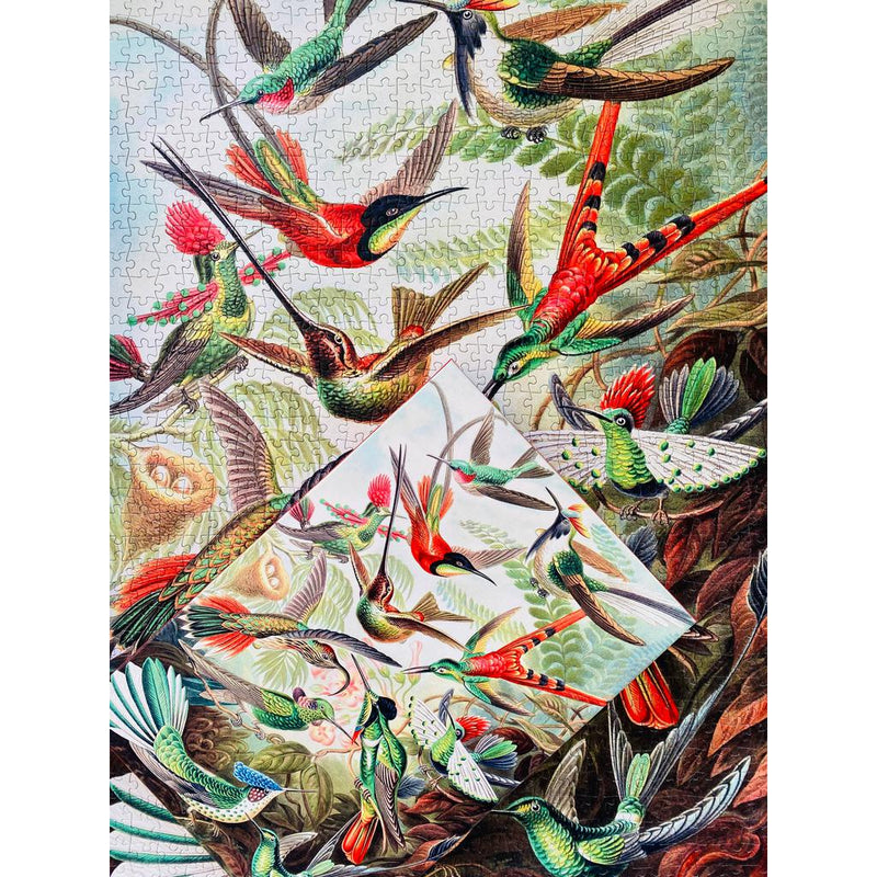 Hummingbirds 1000 piece Vintage jigsaw puzzle-Puslespill-Penny Puzzle-Kvalitetstid AS